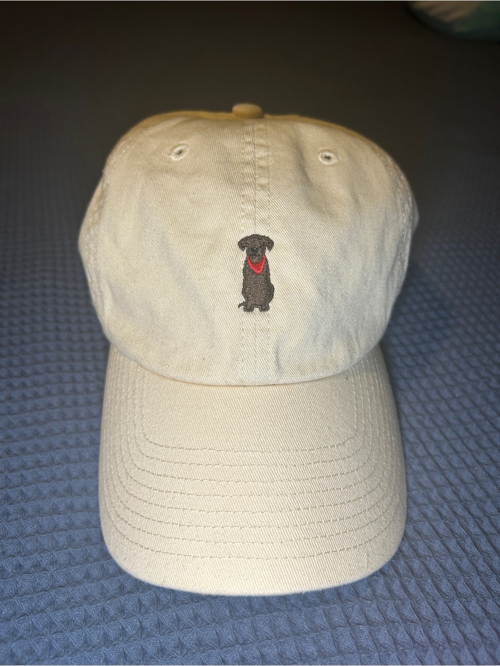 ‘47 Clean-up Baseball Cap with Embroidered Chocolate Lab